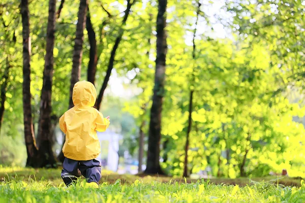 Sarı yağmurluklu çocuk, bak, sonbahar mevsimi parkta yürüyor.