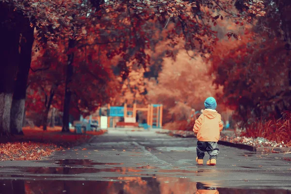 Podzim Parku Chlapeček Kráčí Pláštěnce Sezónní Vzhled — Stock fotografie