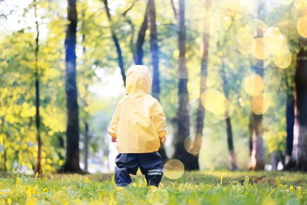 Yellow Raincoat Boy Look Autumn Seasonal Walk Park — Stock Photo, Image