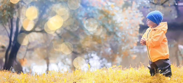 Parkta sonbahar, küçük çocuk yağmurlukla yürüyor mevsimlik görünüş