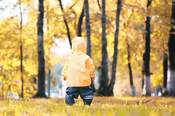 Herbst Park Kleiner Junge Spaziert Regenmantel — Stockfoto