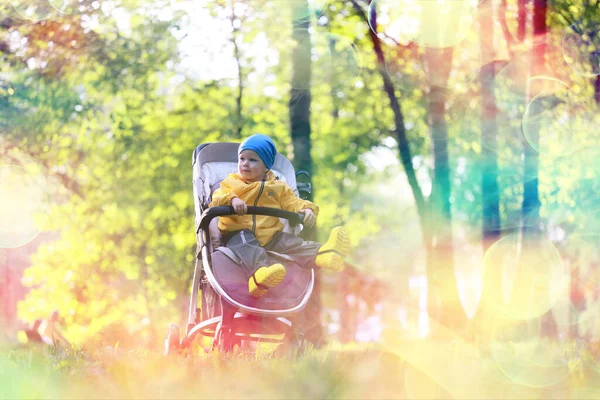 Promenade Automnale Enfant Dans Une Poussette Rue Plein Air Paysage — Photo