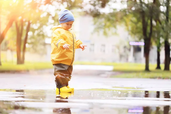 Sarı yağmurluklu çocuk, bak, sonbahar mevsimi parkta yürüyor.