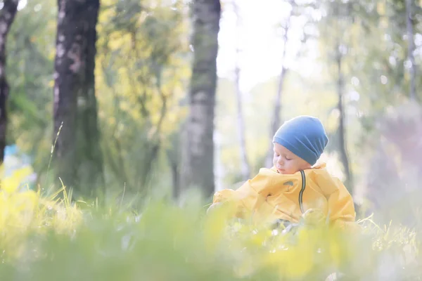 Желтый Плащ Мальчик Взгляд Осень Сезонная Прогулка Парке — стоковое фото