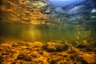 Güneş ışınları suyun altında, deniz manzarası tatlı su nehri dalışı