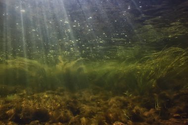Güneş ışınları suyun altında, deniz manzarası tatlı su nehri dalışı