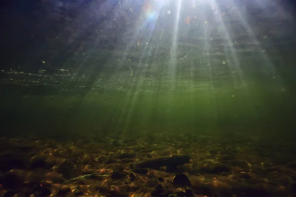 Güneş Işınları Suyun Altında Deniz Manzarası Tatlı Nehri Dalışı — Stok fotoğraf