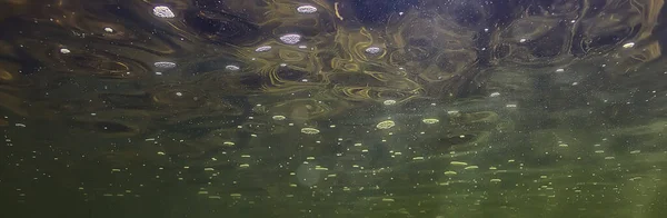 Fische Unterwasserschwärme Abstrakter Hintergrund Natur Meer Ozean Ökosystem — Stockfoto