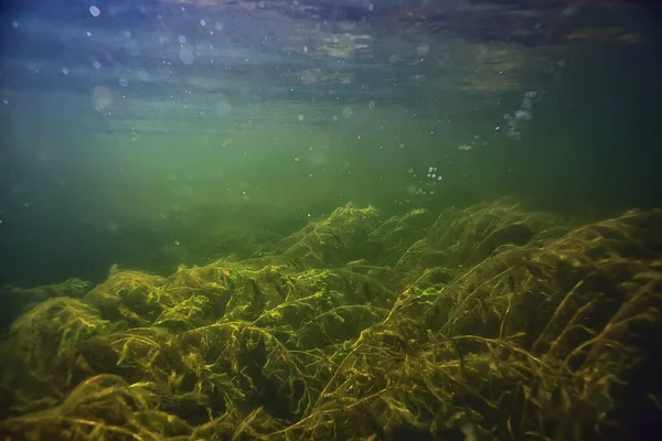 Abstract Underwater Background Lake Clean Freshwater — Stock Photo, Image