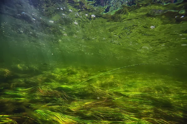 Fundo Verde Água Doce Subaquática Com Raios Sol Sob Água — Fotografia de Stock