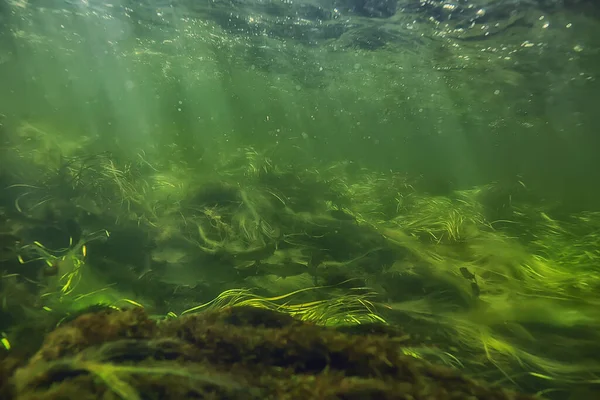 Sluneční Paprsky Pod Vodní Krajinou Mořská Pláň Sladkovodní Řeka Potápění — Stock fotografie