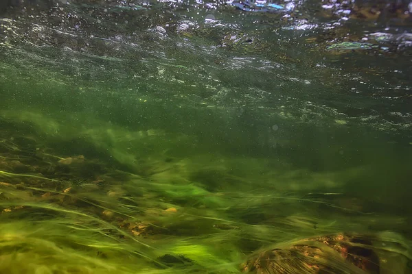 Зеленые Водоросли Водой Реке Пейзаж Реки Экология Природы — стоковое фото
