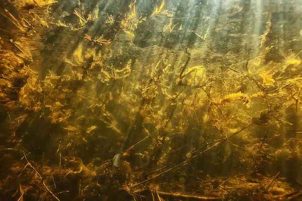 Zonnestralen Onder Water Landschap Zeegezicht Zoet Water Rivierduiken — Stockfoto