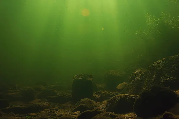 Unterwasser Süßwasser Grünen Hintergrund Mit Sonnenstrahlen Unter Wasser — Stockfoto