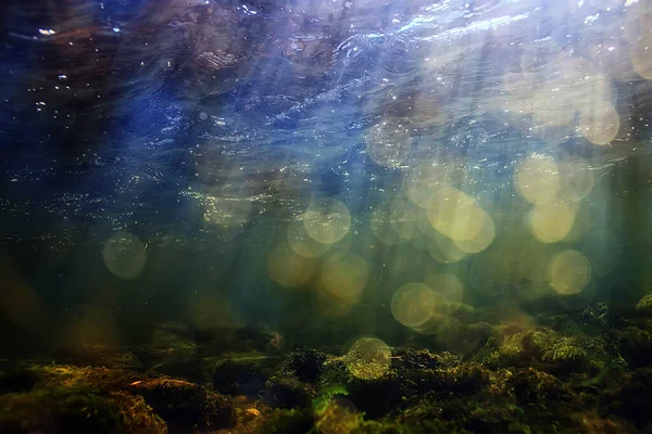 Sun Rays Water Landscape Seascape Fresh Water River Diving — Stock Photo, Image