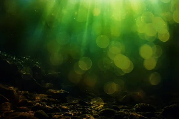 Suyun Altında Taze Altında Güneş Işınları Olan Yeşil Arka Plan — Stok fotoğraf