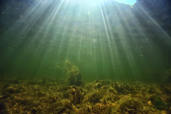 Güneş Işınları Suyun Altında Deniz Manzarası Tatlı Nehri Dalışı — Stok fotoğraf