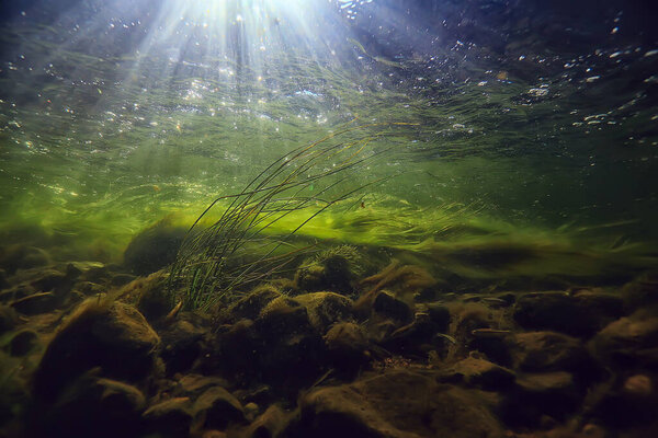 Sun rays under water landscape, seascape fresh water river diving