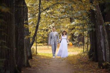 Gelin ve damat parkta yürüyor