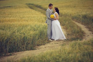 Bride and groom walking on wheat field clipart