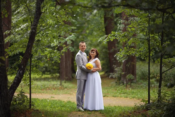 Novia y novio caminando en el parque — Foto de Stock