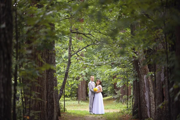Bride and groom walking in park — Stock Photo, Image