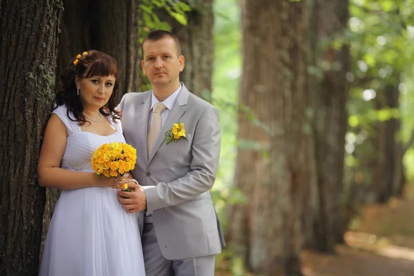 Sposa e sposo passeggiando nel parco — Foto Stock