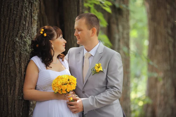 Bride and groom walking in park — Stock Photo, Image