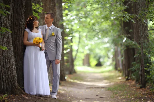 Bruid en bruidegom wandelen in park — Stockfoto