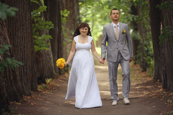 新娘和新郎在公园里散步 — 图库照片