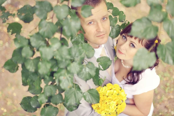 Novia y novio de pie bajo el árbol —  Fotos de Stock