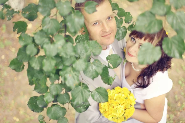 Bride and groom standing under the tree — Stock Photo, Image