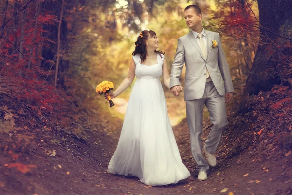 Mariée et marié marche dans le parc — Photo