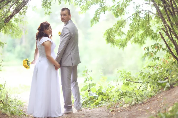 Bride and groom walking in park — Stock Photo, Image