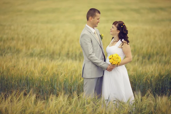 Bride and groom walking on wheat field — Stock Photo, Image