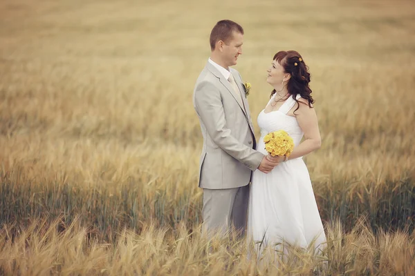 Sposa e sposo che camminano sul campo di grano — Foto Stock