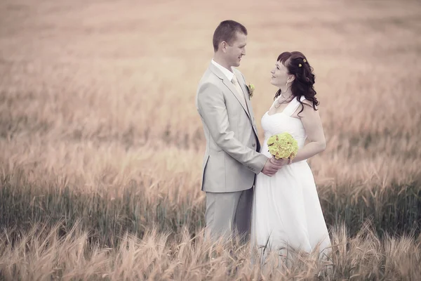 Bride and groom walking on wheat field — Stock Photo, Image