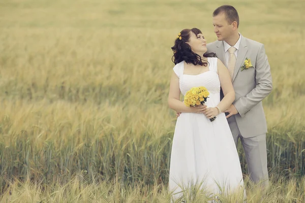 Bride and groom walking on wheat field — Stock Photo, Image