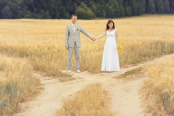 Noiva e noivo caminhando no campo de trigo — Fotografia de Stock
