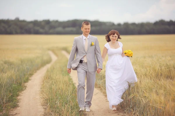 Bride and groom walking on wheat field — Stock Photo, Image