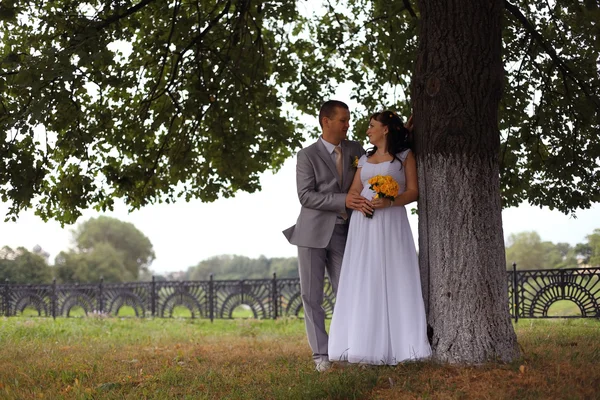 Bride and groom walking in park — Stock Photo, Image