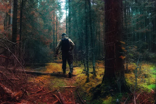 Viajante na floresta mística de outono — Fotografia de Stock