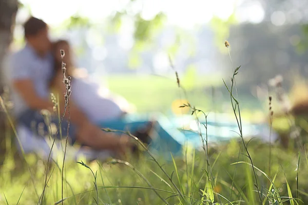 Homme et femme enceinte couchés sur l'herbe — Photo