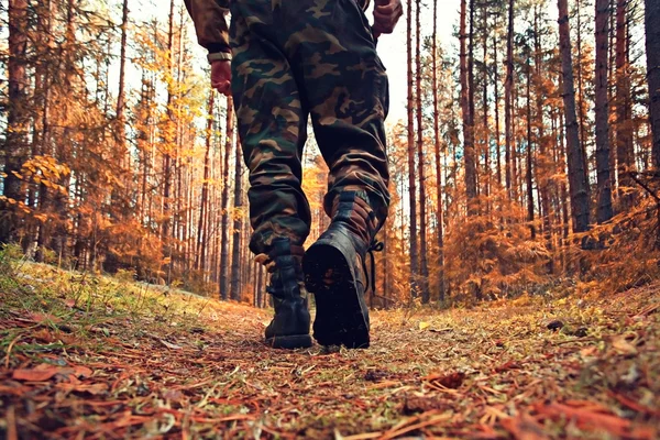 Ноги в обуви ходить в осеннем лесу — стоковое фото