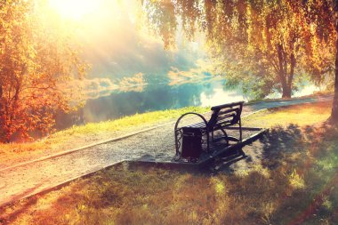 Bench in the autumn park clipart