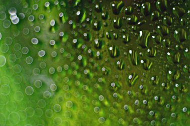 yeşil arka damla ile