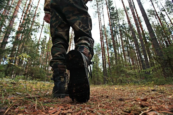 Láb cipő őszi erdőben sétálni — Stock Fotó
