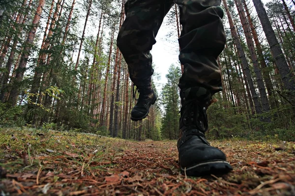 Voeten in schoenen wandelen in herfst woud — Stockfoto