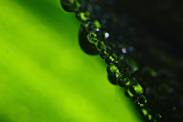绿色玻璃与滴 — 图库照片