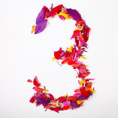 Yaprakları üç numara